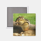 Cute Chipmunk Magneet (Voorkant / Achterkant)