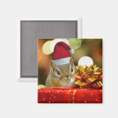Cute Chipmunk Merry Kerstmis Magneet (Voorkant / Achterkant)