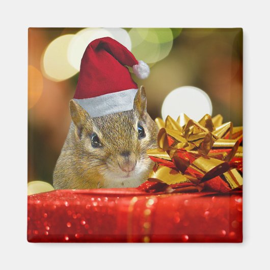 Cute Chipmunk Merry Kerstmis Magneet (Voorkant)