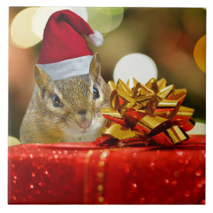 Cute Chipmunk Merry Kerstmis Tegeltje