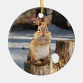 Cute Chipmunk met Antlers Keramisch Ornament (Voorkant)