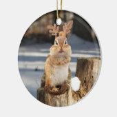 Cute Chipmunk met Antlers Keramisch Ornament (Links)