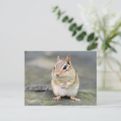 Cute Chipmunk met Bug Friend Briefkaart (Staand voorkant)