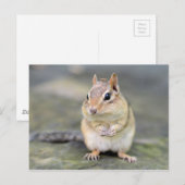 Cute Chipmunk met Bug Friend Briefkaart (Voorkant / Achterkant)