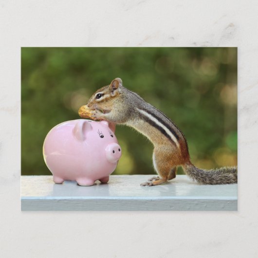 Cute Chipmunk met Funny Money Piggy Bank Afbeeldin Briefkaart (Voorkant)