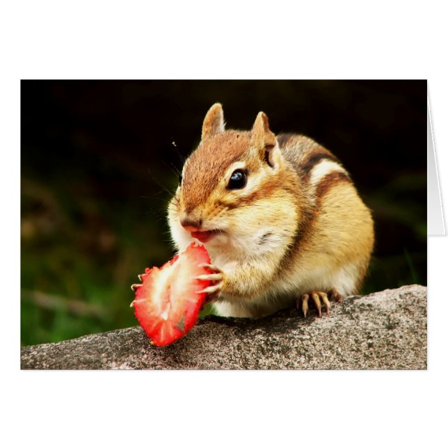 Cute Chipmunk met Juicy Strawberry Card (Voorkant Horizontaal)