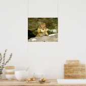 Cute Chipmunk met Large Treat Poster (Keuken)