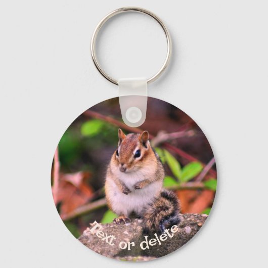 Cute Chipmunk On Rock Personalized Sleutelhanger (Voorkant)