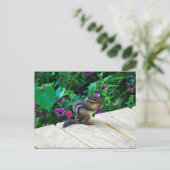 Cute Chipmunk Photo Briefkaart (Staand voorkant)