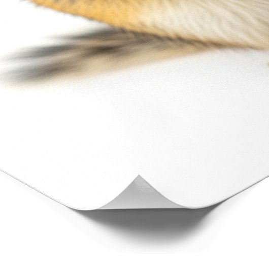 Cute Chipmunk Poster (Hoek)