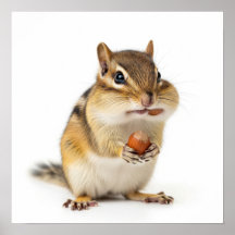Cute Chipmunk