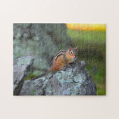 Cute Chipmunk, Shenandoah National Park Legpuzzel (Horizontaal)