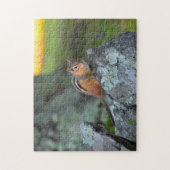 Cute Chipmunk, Shenandoah National Park Legpuzzel (Verticaal)