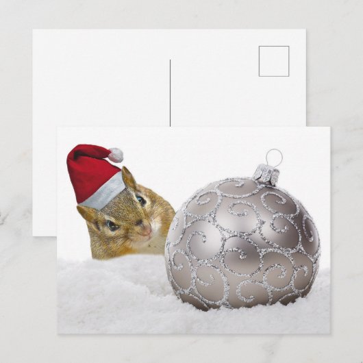 Cute Chipmunk Silver en Sneeuwkerstfeestdag Feestdagenkaart (Voorkant / Achterkant)