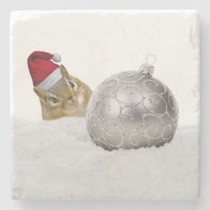 Cute Chipmunk Silver en Sneeuwkerstfeestdag Stenen Onderzetter