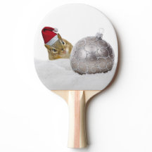 Cute Chipmunk Silver en Sneeuwkerstfeestdag