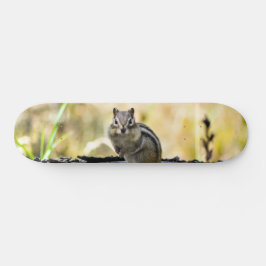 Cute Chipmunk Skateboard