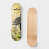 Cute Chipmunk Skateboard (Voorkant)