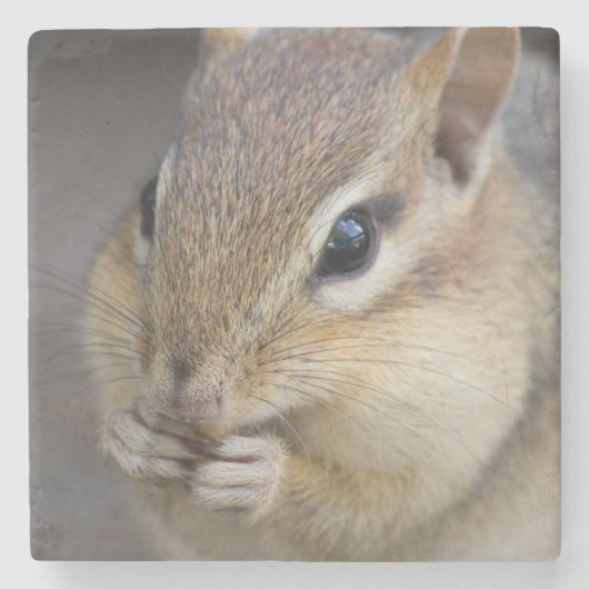 Cute chipmunk stenen onderzetter (Voorkant)