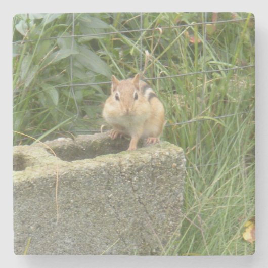 Cute Chipmunk Stenen Onderzetter (Voorkant)