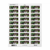 Cute Chipmunk Wildlife Animal Adres Etiket (Full Sheet)