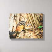 Cute Chipmunk Wildlife Animals Natuur Canvas Afdruk (Voorkant)