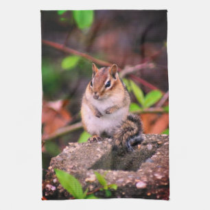 Cute Chipmunk Wildlife Theedoek