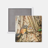 Cute Chipmunk Woodland Animals Natuur Square Magneet (Voorkant / Achterkant)