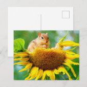 Cute Chipmunk Yellow Sunflower Photo Painting Briefkaart (Voorkant / Achterkant)