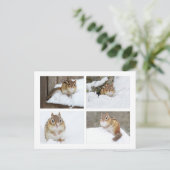 Cute Chipmunk Zitting in sneeuw 4 Foto Collage Briefkaart (Staand voorkant)