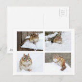 Cute Chipmunk Zitting in sneeuw 4 Foto Collage Briefkaart (Voorkant / Achterkant)