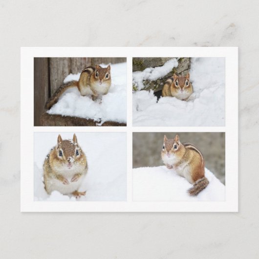 Cute Chipmunk Zitting in sneeuw 4 Foto Collage Briefkaart (Voorkant)