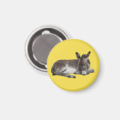 Cute chocola donkey baby foelie slaapt magneet (Voorkant / Achterkant)