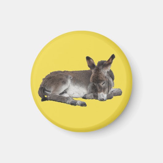 Cute chocola donkey baby foelie slaapt magneet (Voorkant)