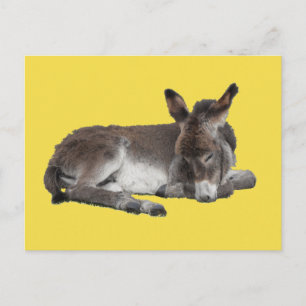Cute chocola donkey baby foelie slaapt op geel briefkaart