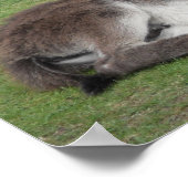 Cute chocola donkey baby foelie slaapt poster (Hoek)