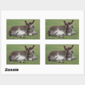 Cute chocola donkey baby foelie slaapt rechthoekige sticker (Vel)