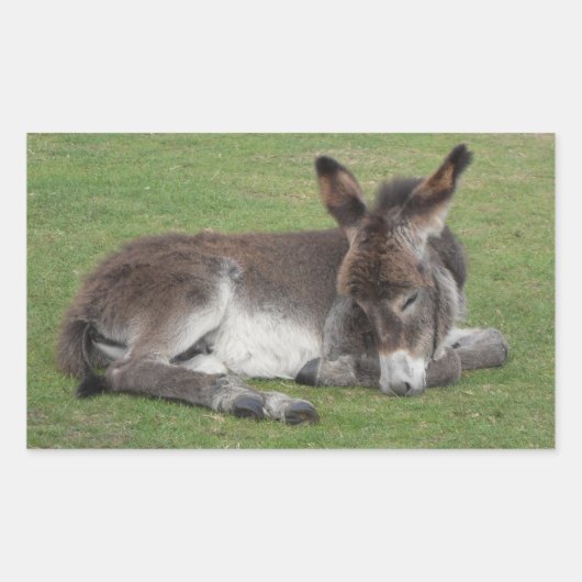 Cute chocola donkey baby foelie slaapt rechthoekige sticker (Voorkant)
