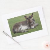 Cute chocola donkey baby foelie slaapt rechthoekige sticker (Envelop)