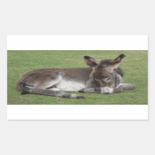 Cute chocola donkey baby foelie slaapt rechthoekige sticker