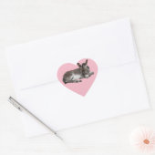 Cute chocolade donkey baby foelie slaapt in roze hart sticker (Envelop)