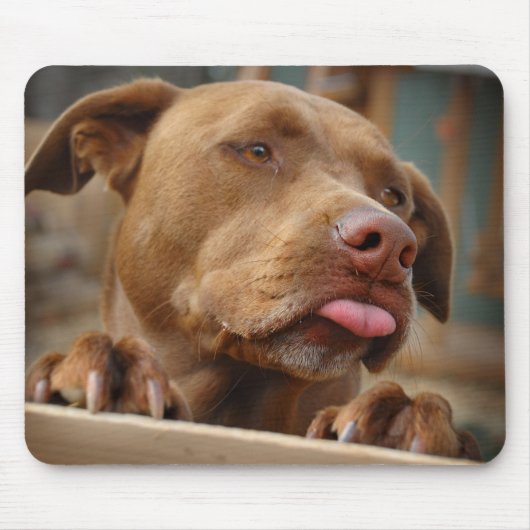 Cute chocolade Lab Pit Mix Dog Muismat (Voorkant)