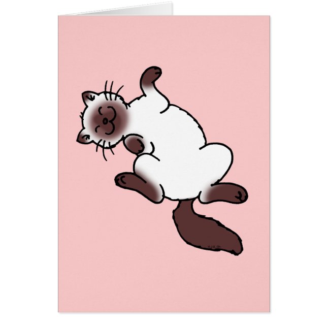 Cute chocolade point Siamese cat (Voorkant)