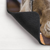 Cute Chocolate Brown Labrador Retriever Pet Dog Muismat (Hoek)