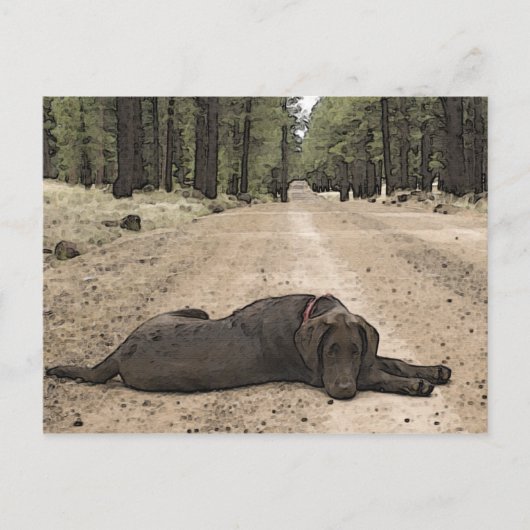 Cute Chocolate Lab op een bos spoor Briefkaart (Voorkant)