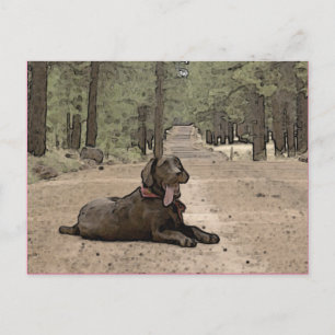 Cute Chocolate Lab op een bos spoor Briefkaart