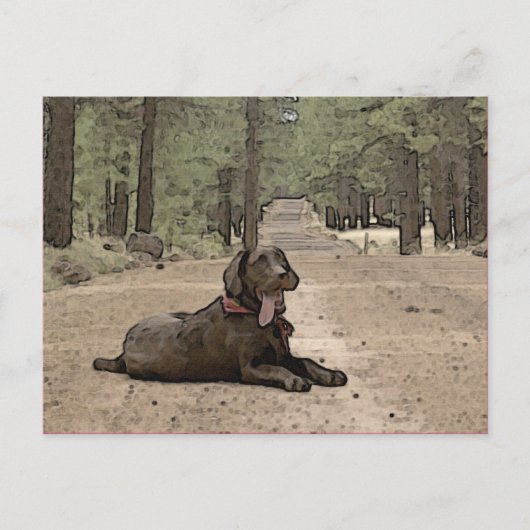 Cute Chocolate Lab op een bos spoor Briefkaart (Voorkant)