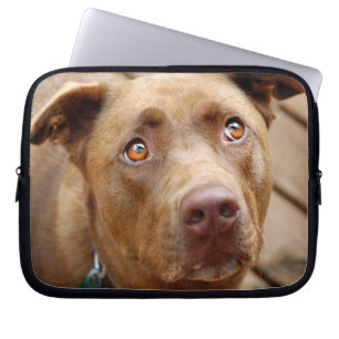 Cute Chocolate Lab Pit Mix Dog Portret 5 Laptop Sleeve