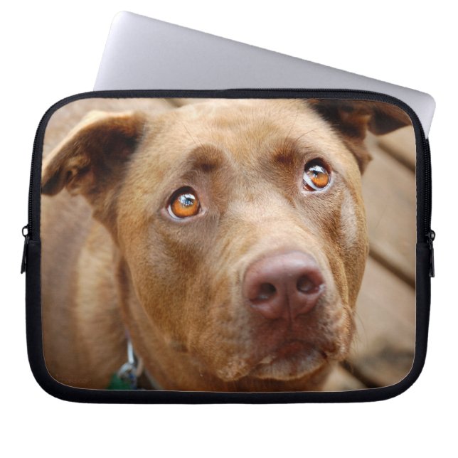 Cute Chocolate Lab Pit Mix Dog Portret 5 Laptop Sleeve (Voorkant)