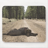 Cute Chocolate Lab Puppy op een bos spoor Muismat (Voorkant)